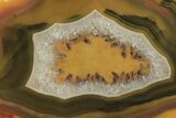 Colorful, Polished Condor Agate - Argentina #273666-1
